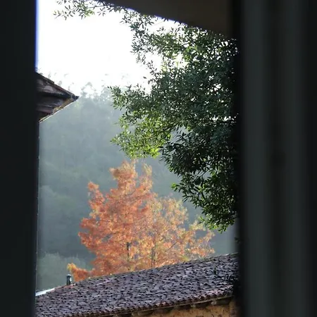 Casa Anida En Hualle