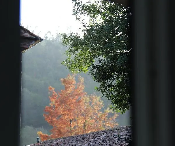 Casa Anida En Hualle